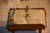 immagine044_small.jpg