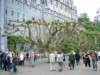 dscf8160_small.jpg