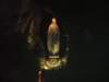 dscf8247_small.jpg