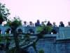 dscf8308_small.jpg