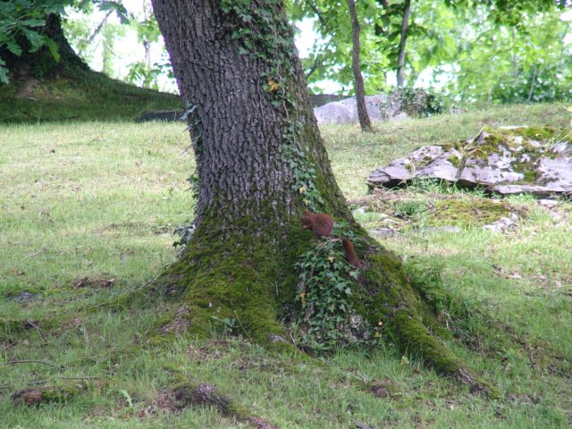 dscf8454.jpg