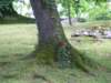 dscf8454_small.jpg
