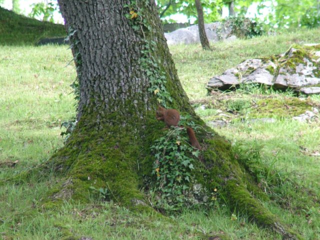dscf8455.jpg