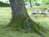 dscf8455_small.jpg