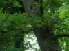 dscf8456_small.jpg