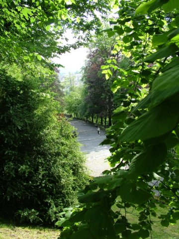 dscf8468.jpg