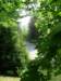 dscf8468_small.jpg