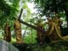 dscf8469_small.jpg