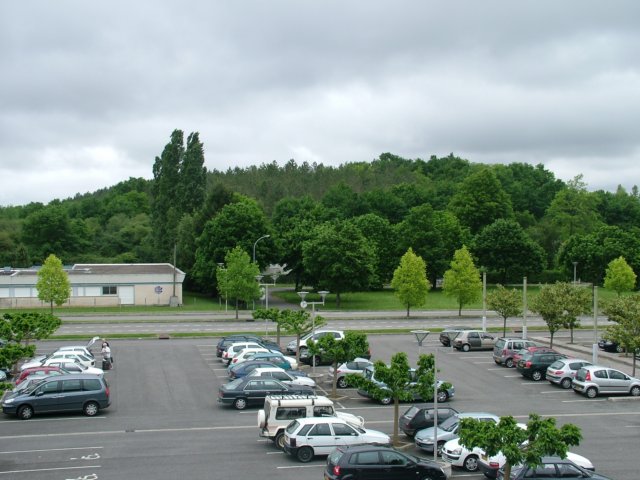 dscf8524.jpg